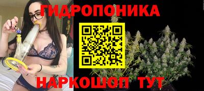 кокс Пушкино
