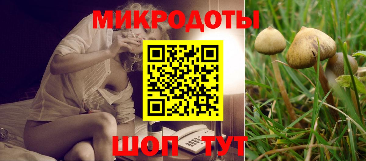как найти наркотики  Галлюциногенные грибы Psilocybe  Вход с VPN  Рославль  Псилоцибиновые грибы Cubensis 
